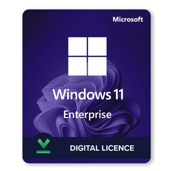 Windows 11 Enterprise Lifetime Validity